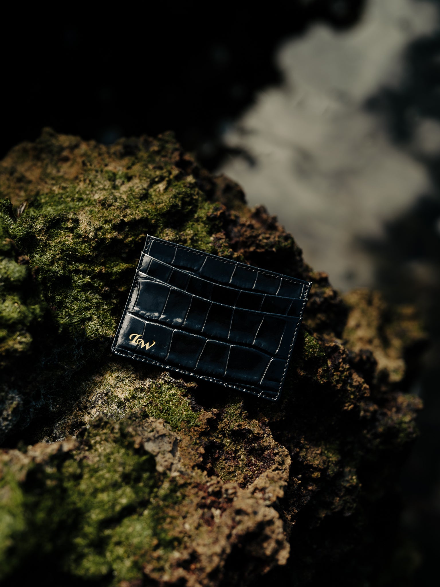 Caiman Card Holder Green